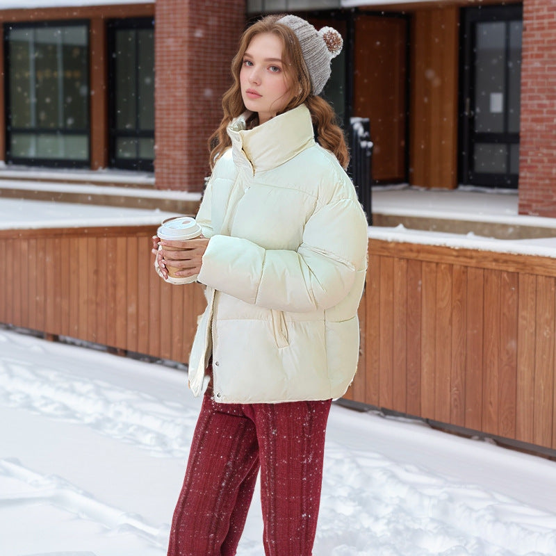 Down Cotton-padded Jacket