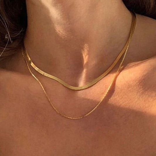 Simple Double Layered Necklace